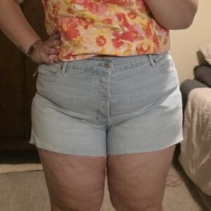 NWT Old Navy Size 20 High Rise Denim Shorts